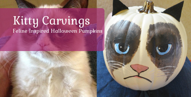 Kitty Carvings - Cat Pumpkin Designs