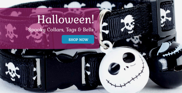 Halloween Collars