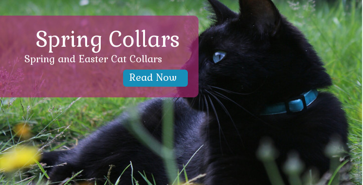 Easter & Spring Cat Collars