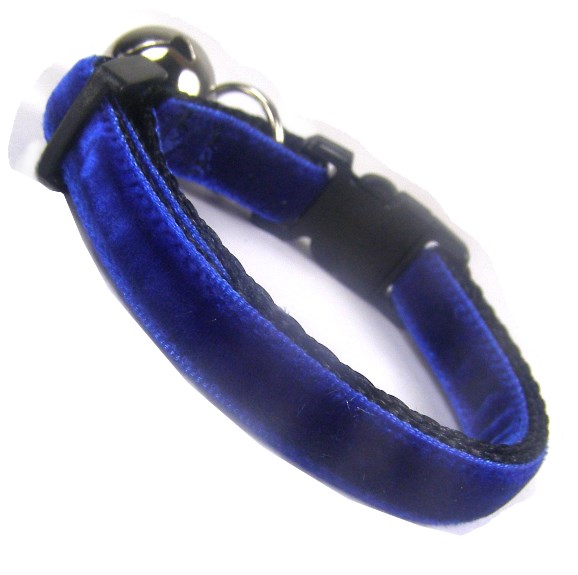 blueberry collar blueberry blue velvet cool cat collar coolcatcollars co uk blueberry collar blueberry blue velvet cool cat collar coolcatcollars co uk