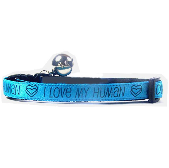 human collars i my human turquoise cat collar coolcatcollars co uk human collars i my human turquoise cat collar coolcatcollars co uk