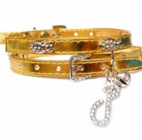Gold Funky Fish Cat Collar