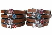 Cats Initial Personalised Cat Collars
