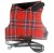 Red Tartan Cat Harness and Black Lead