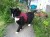 Red Tartan Cat Harness and Black Lead