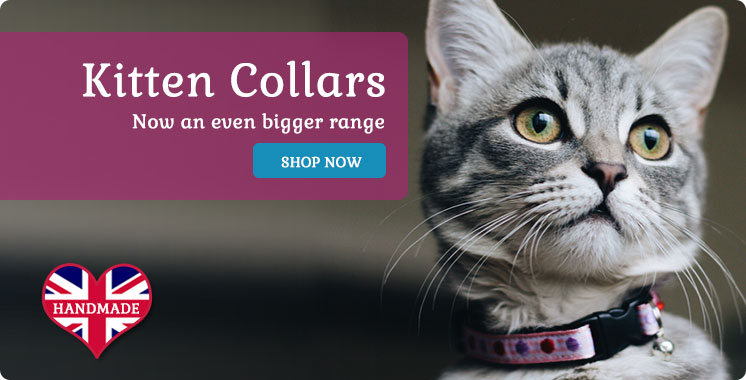 New kitten collar designs in stock!