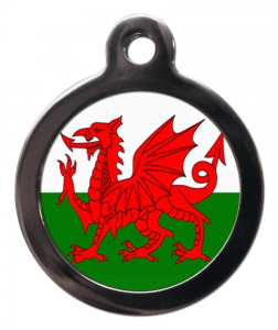 Welsh Dragon Cat ID Tag