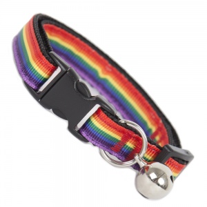 Rainbow Stripe Cool Cat Collar