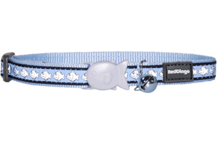 light blue cat collar