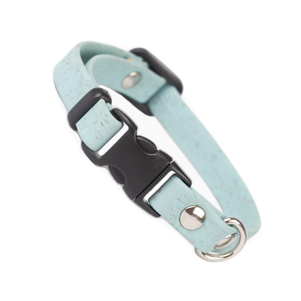 light blue cat collar