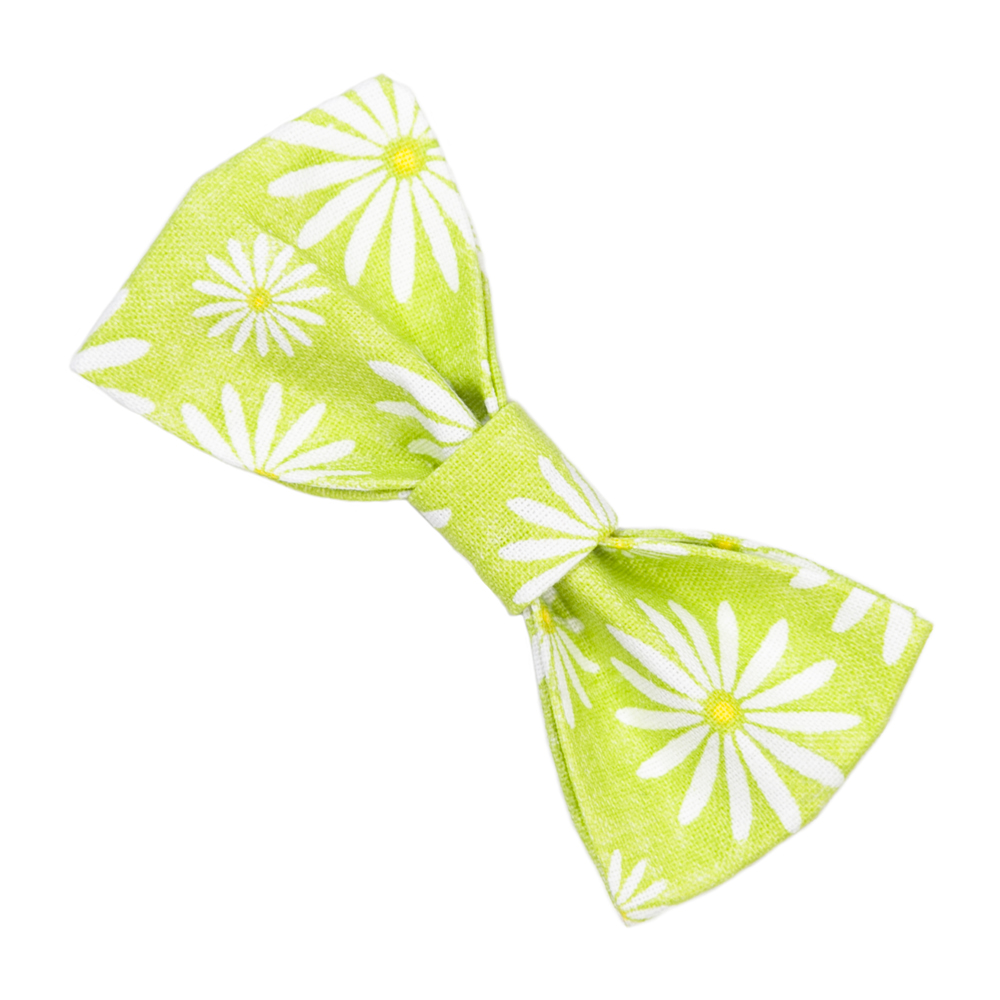 Cat Collar Accessory Green Bow Tie With Daisys