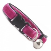 Rosewater Pink Velvet Cool Cat Collar