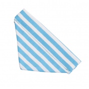 Light Blue Stripe Bandana