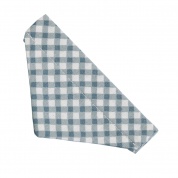 Blue Gingham Cat Bandana