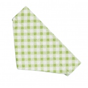 Green Gingham Bandana