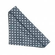 Blue Spotty Bandana